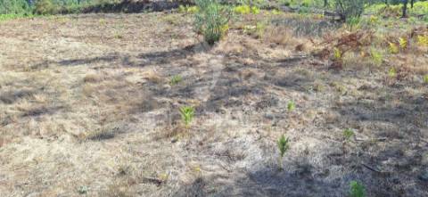 Terreno rústico com 6.400 m² – matas, caranguejeira