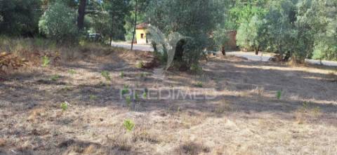 Terreno rústico com 6.400 m² – matas, caranguejeira