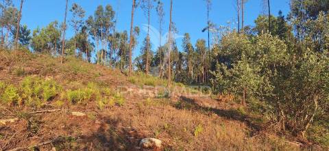 Terreno rústico com 6.400 m² – matas, caranguejeira