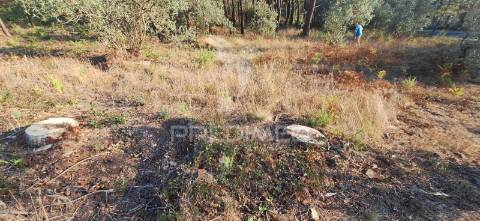 Terreno rústico com 6.400 m² – matas, caranguejeira