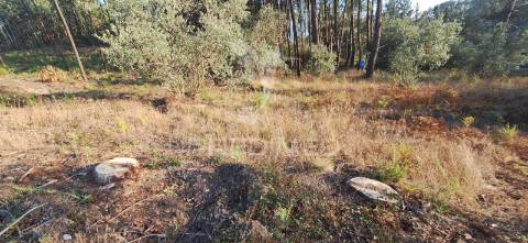 Terreno rústico com 6.400 m² – matas, caranguejeira