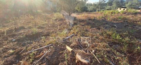 Terreno rústico com 6.400 m² – matas, caranguejeira