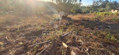 Terreno rústico com 6.400 m² – matas, caranguejeira