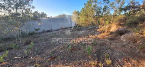 Terreno rústico com 6.400 m² – matas, caranguejeira