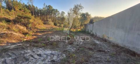 Terreno rústico com 6.400 m² – matas, caranguejeira