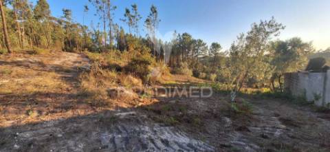 Terreno rústico com 6.400 m² – matas, caranguejeira