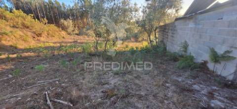 Terreno rústico com 6.400 m² – matas, caranguejeira