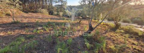 Terreno rústico com 6.400 m² – matas, caranguejeira