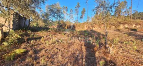 Terreno rústico com 6.400 m² – matas, caranguejeira