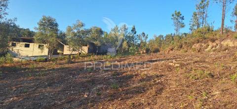 Terreno rústico com 6.400 m² – matas, caranguejeira