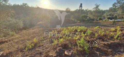 Terreno rústico com 6.400 m² – matas, caranguejeira