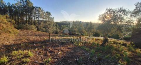 Terreno rústico com 6.400 m² – matas, caranguejeira