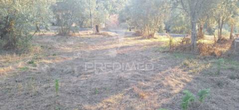 Terreno rústico com 6.400 m² – matas, caranguejeira