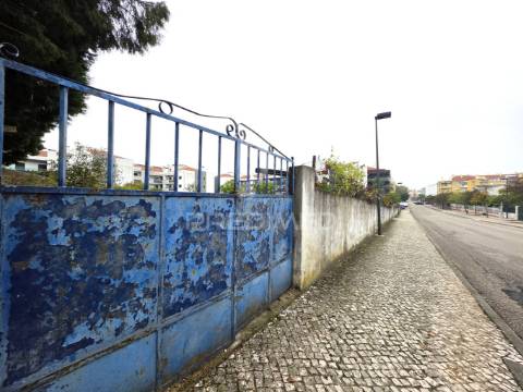 Terreno misto, nossa senhora de fátima, entroncamento