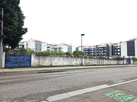 Terreno misto, nossa senhora de fátima, entroncamento