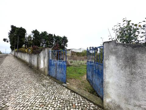 Terreno misto, nossa senhora de fátima, entroncamento
