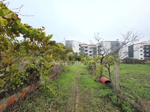 Terreno misto, nossa senhora de fátima, entroncamento