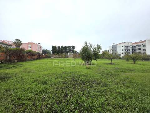 Terreno misto, nossa senhora de fátima, entroncamento