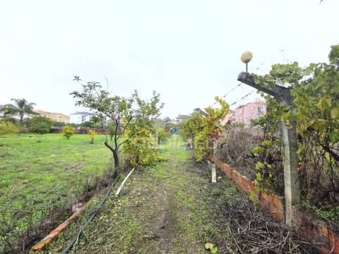 Terreno misto, nossa senhora de fátima, entroncamento