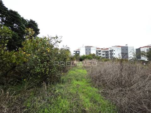 Terreno misto, nossa senhora de fátima, entroncamento