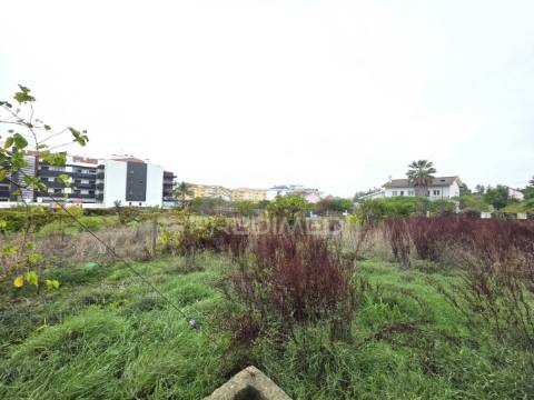 Terreno misto, nossa senhora de fátima, entroncamento