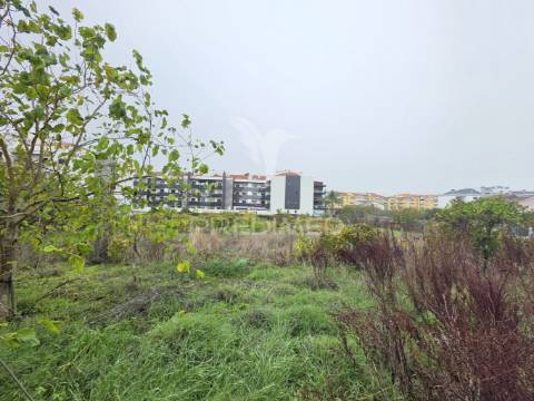 Terreno misto, nossa senhora de fátima, entroncamento