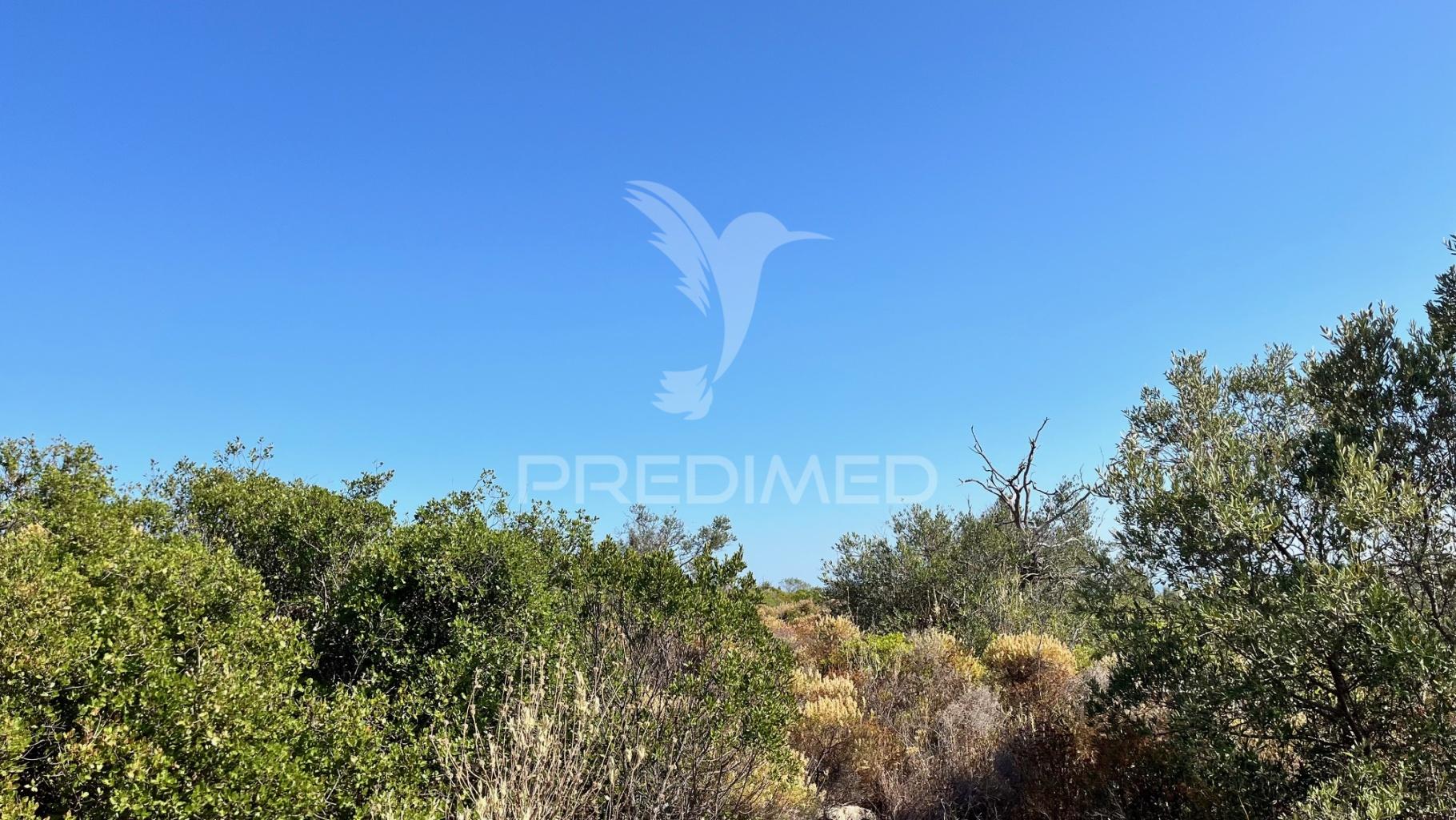 Terreno rústico com 2520m² no coração de moncarapacho, olhão, algarve.