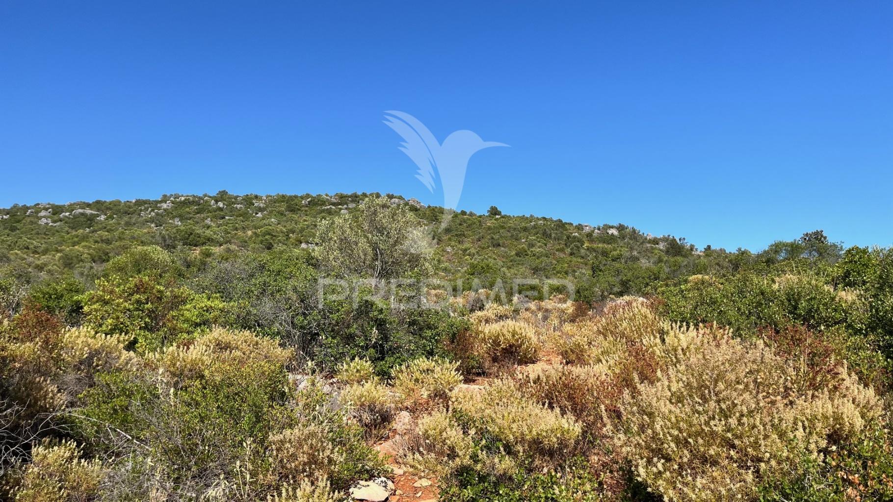 Terreno rústico com 2520m² no coração de moncarapacho, olhão, algarve.