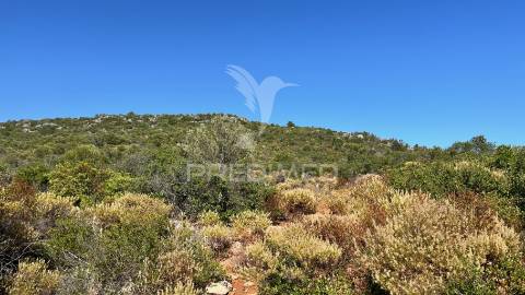Terreno rústico com 2520m² no coração de moncarapacho, olhão, algarve.