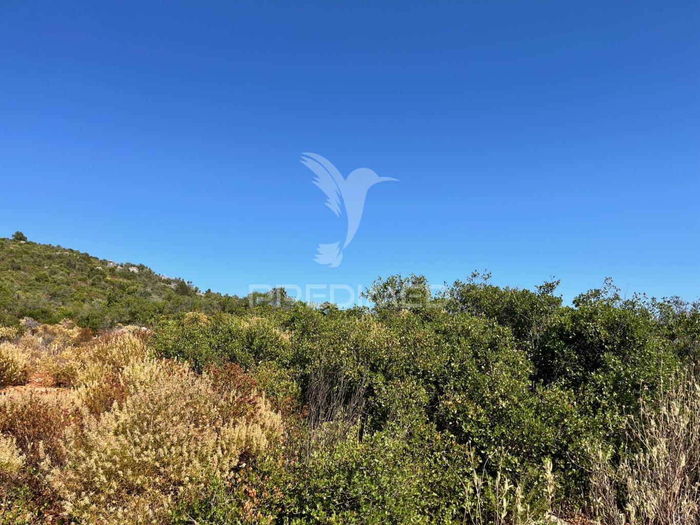 Terreno rústico com 2520m² no coração de moncarapacho, olhão, algarve.