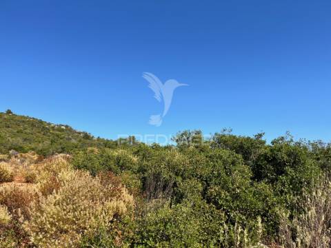 Terreno rústico com 2520m² no coração de moncarapacho, olhão, algarve.