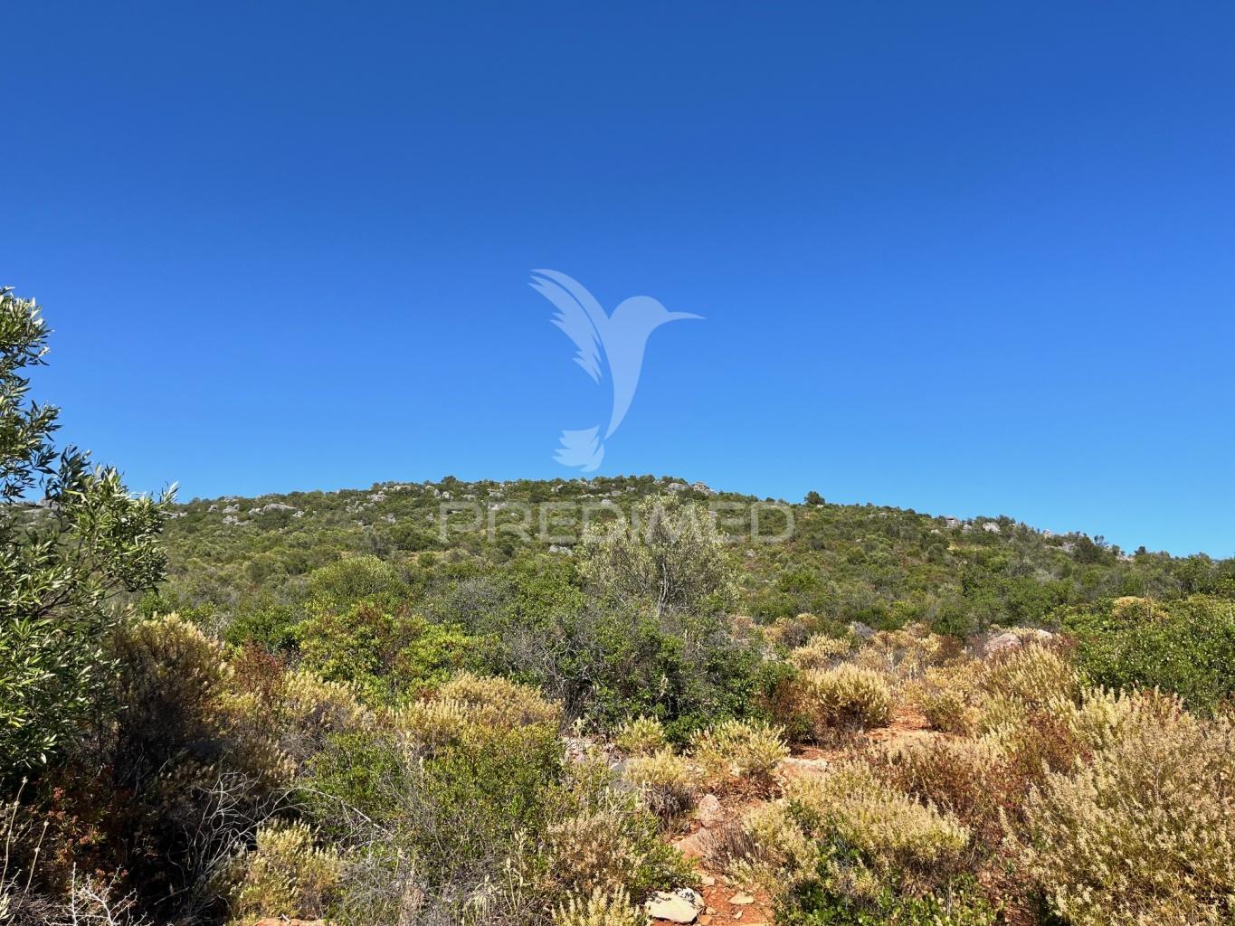 Terreno rústico com 2520m² no coração de moncarapacho, olhão, algarve.