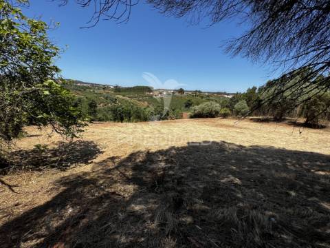 Terreno com ruína e vista deslumbrante sobre o vale.