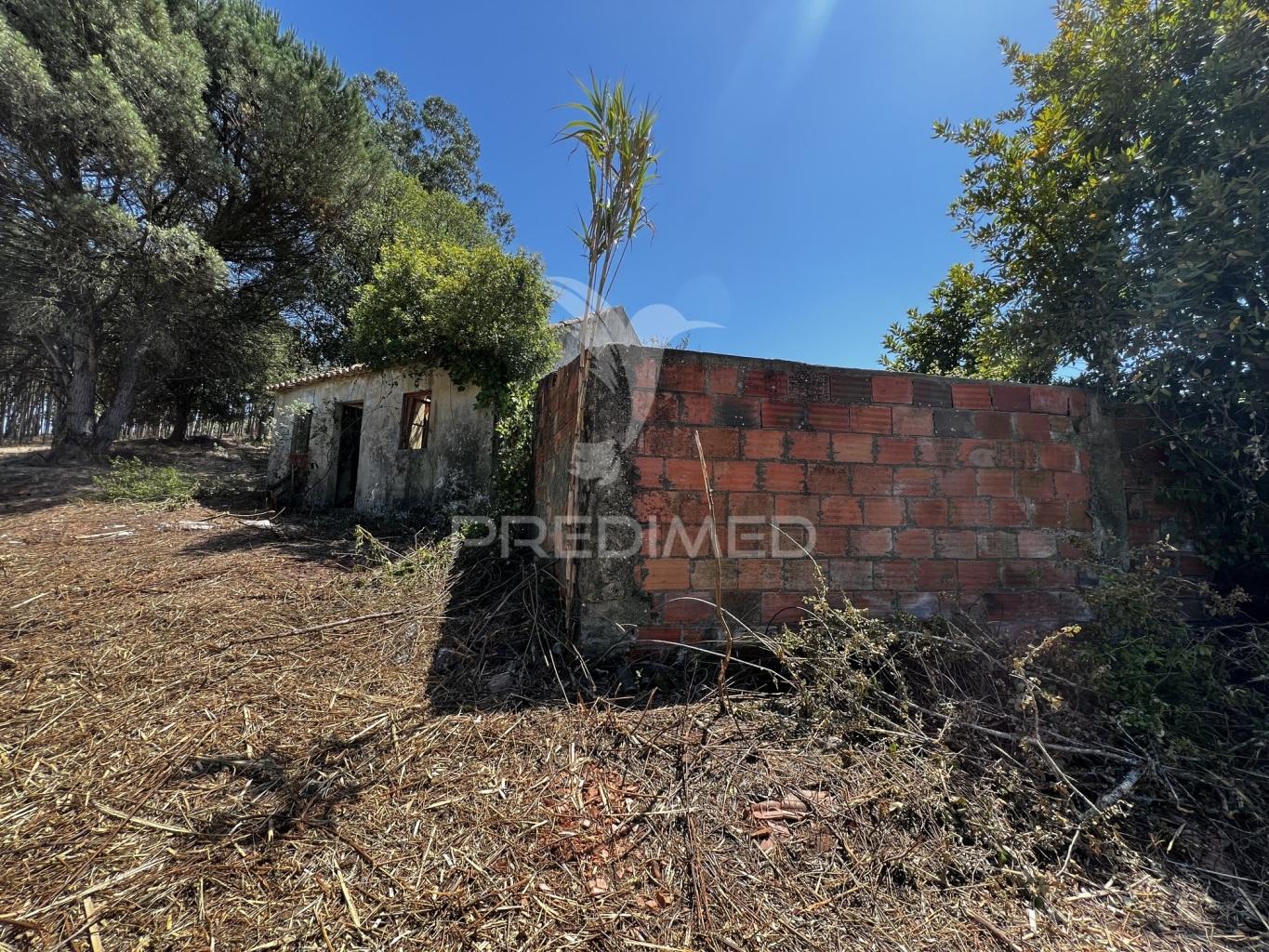 Terreno com ruína e vista deslumbrante sobre o vale.