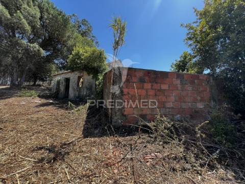 Terreno com ruína e vista deslumbrante sobre o vale.