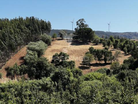 Terreno com ruína e vista deslumbrante sobre o vale.