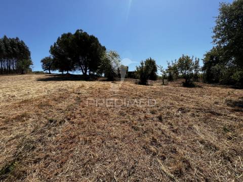 Terreno com ruína e vista deslumbrante sobre o vale.
