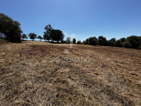 Terreno com ruína e vista deslumbrante sobre o vale.