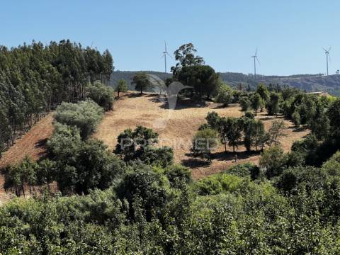 Terreno com ruína e vista deslumbrante sobre o vale.