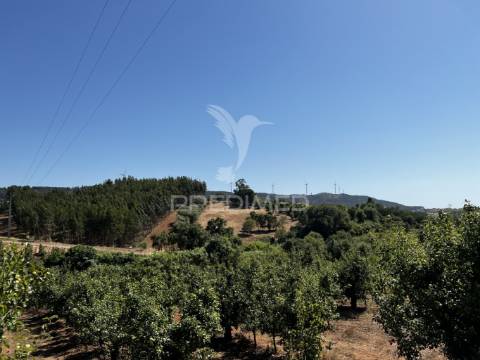 Terreno com ruína e vista deslumbrante sobre o vale.