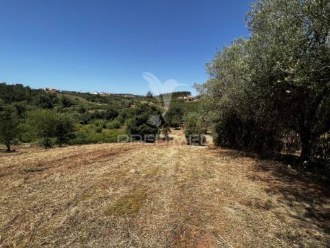 Terreno com ruína e vista deslumbrante sobre o vale.
