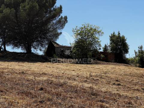 Terreno com ruína e vista deslumbrante sobre o vale.