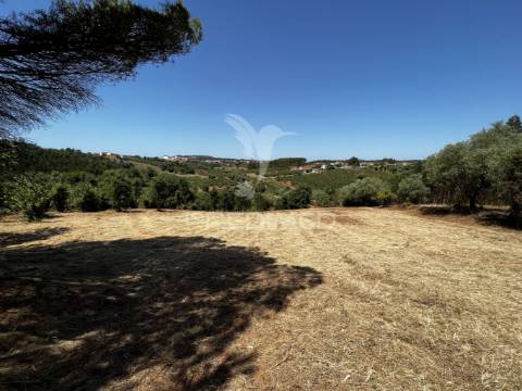 Terreno com ruína e vista deslumbrante sobre o vale.