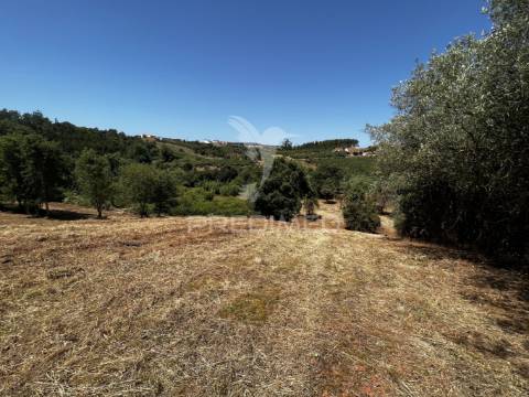 Terreno com ruína e vista deslumbrante sobre o vale.