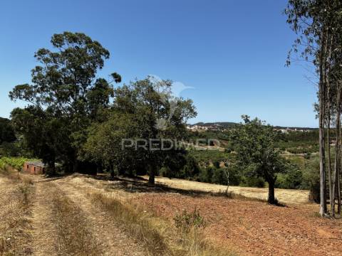 Terreno com ruína e vista deslumbrante sobre o vale.
