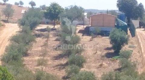 Quintinha com habitações e infraestruturas — alqueva