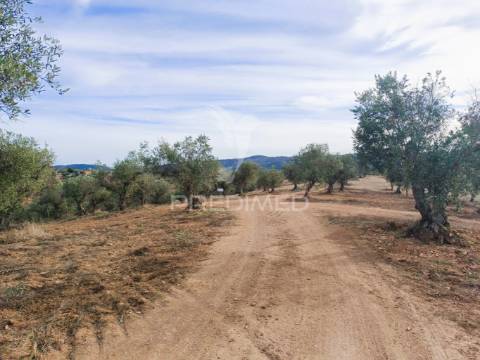 Quintinha com habitações e infraestruturas — alqueva