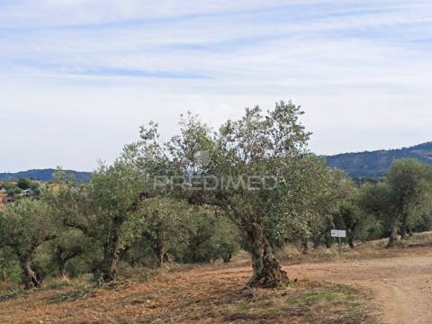 Quintinha com habitações e infraestruturas — alqueva