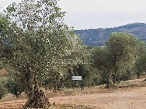 Quintinha com habitações e infraestruturas — alqueva