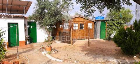 Quintinha com habitações e infraestruturas — alqueva